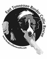 Tennessee dog rescue