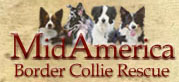 mid america dog rescue