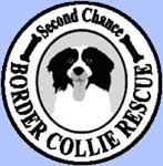 second chance dog rescue