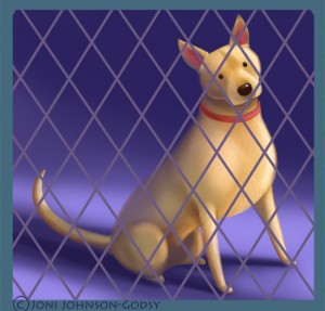 sitting-dakota-dog-fence-ver-three